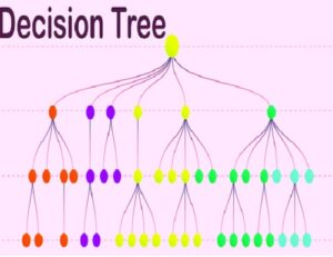 Are random forest and decision trees really what their name suggests