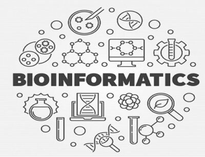 Bioinformatics: Biology Meets Programming